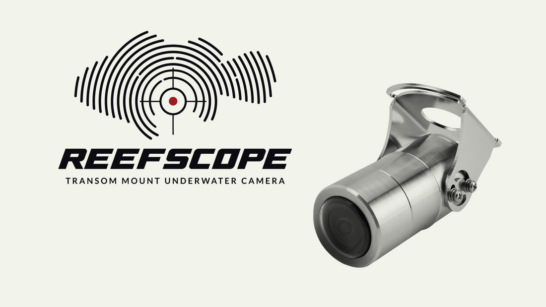 ReefScope T2 Transom Mount Underwater Boat Camera Video AD