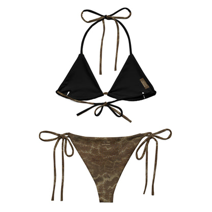 Bikini - Black Grouper