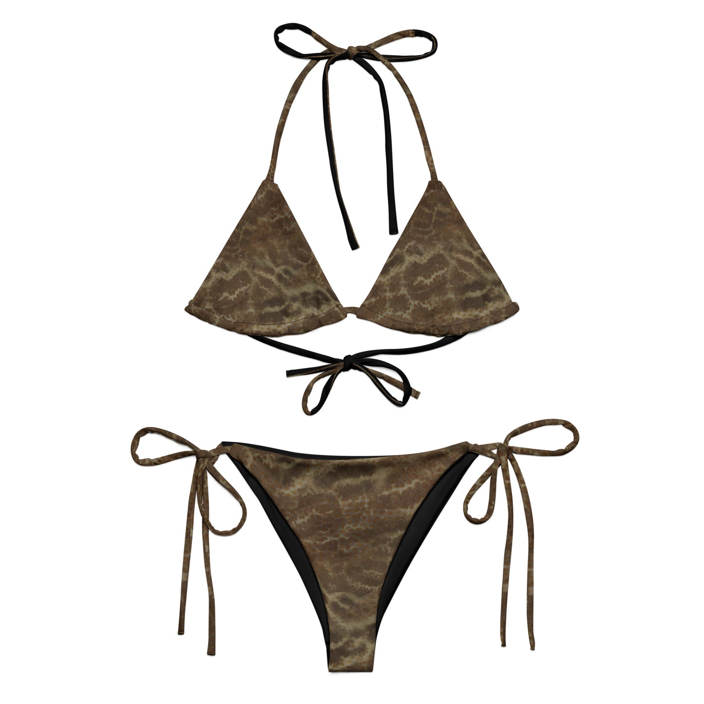 Bikini - Black Grouper